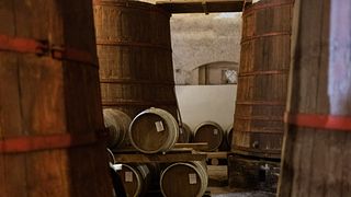 Tour della cantina storica e degustazione di vini