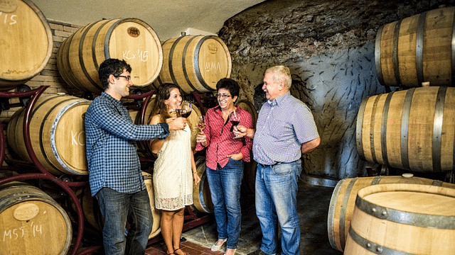 Visita e degustazione di vini presso la Cantina Villa Melnik