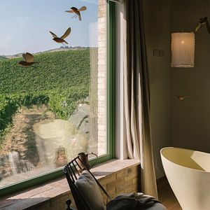 Stay at Tenuta Cocci Grifoni Wine Resort