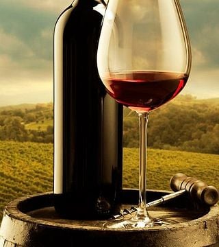 Visita y cata de vinos en la bodega Ludanyi Pince