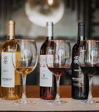 Dégustation de vins et visite à Tres Raíces
