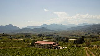 Wine Tour: The Modern Wines of Nemea