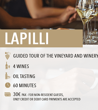 Wine Tasting "Lapilli"