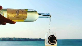 Danubian Plain Wine Journey at Konopane