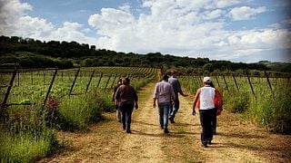 Casa Comerci Winery