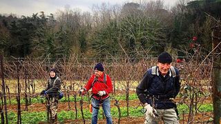 Degustazione e tour di vini a Poggio al Bosco