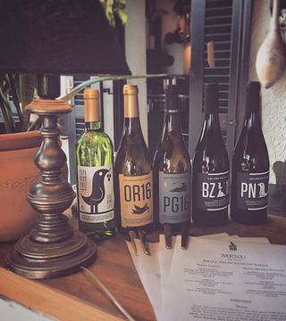 Weinprobe und Tour bei Papwines