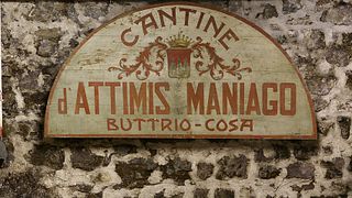 Wine Tasting and Tour at Conte d’Attimis Maniago
