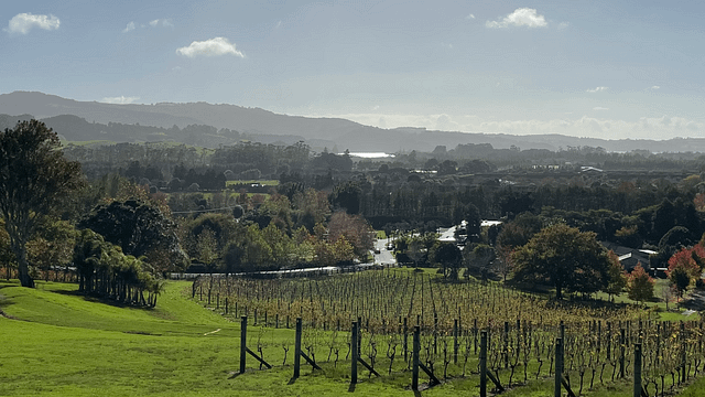 Sculptureum Winery