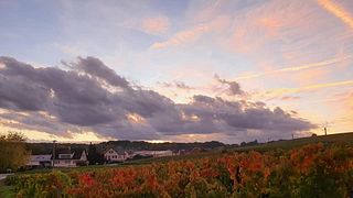 Degustazione di vini e tour allo Champagne Breton Fils