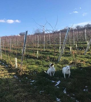 Chumbderhof Winery