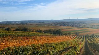 Weingut Walter Glatzer