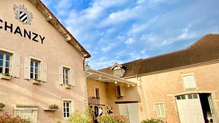 Maison Chanzy - A Burgundy Wine Legacy