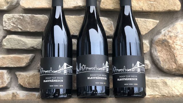 Point Of The Bluff Vineyards