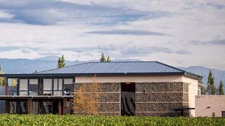 Cata de vinos y visita a Bodega Caelum