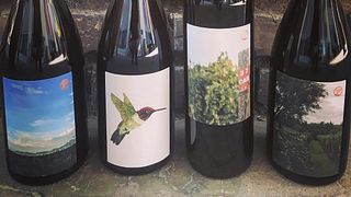Vinprovning och rundtur på Burning Tree Cellars