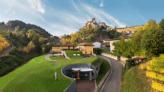 Explore Barolo Vineyards with a 5-Wine Cellar Tasting