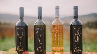Cata clásica de vinos en la bodega Krolo 
