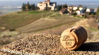 Cantine Lozza Bio Wines