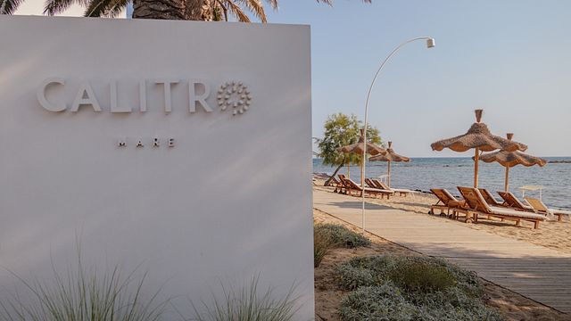 Dégustation de 5 vins | Calitro