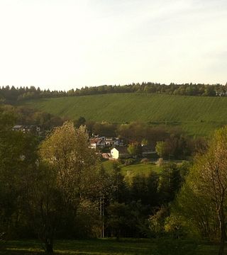 Weinprobe im Weingut Iselin