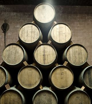 Emilia-Romagna Vineyard Tour & Wine Pairing Feast
