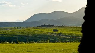 Degustazione di vini e tour al Celler Martin Faixo