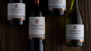 Visite et dégustation de Marques De Casa Concha à Concha y Toro