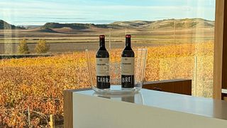 Degustazione di vini presso Bodegas Carramimbre