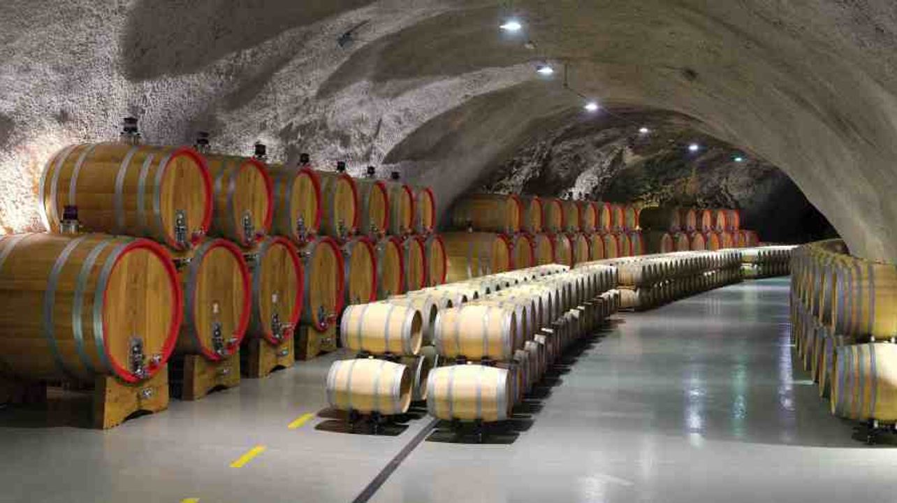 Visite de la route des vins de Podgorica