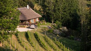 Dégustation de vins et visite d'une cave | Murimäe Veinikelder