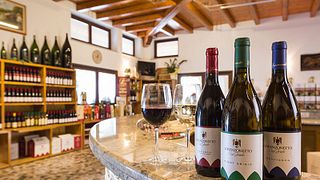 Weinprobe bei Lorenzonetto Cav Guido