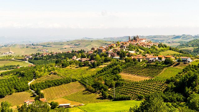 Degustação de vinhos e tour no Rio del Lupo