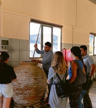 Andreou Winery