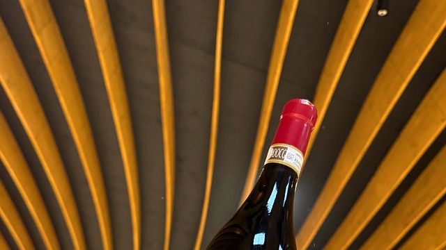 Fullständig fördjupning Barolo