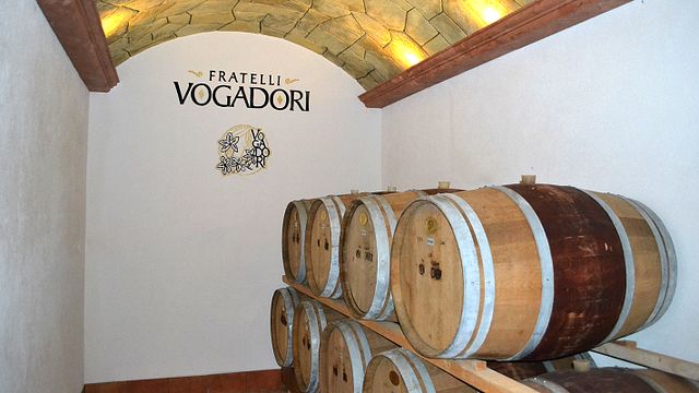Cultura de degustação de vinhos em Fratelli Vogadori