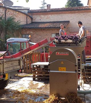 Marchesi Alfieri Winery