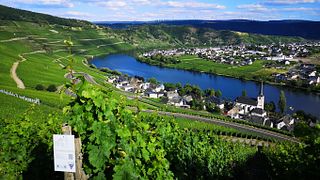 Hoffmann-Simon Winery