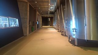 Tour della Ribera del Duero: tre cantine e pranzo da Madrid