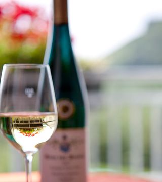 Vinprovning på Weingut Erben von Beulwitz
