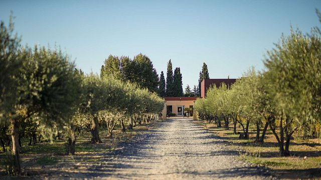Domaine de Poulvarel