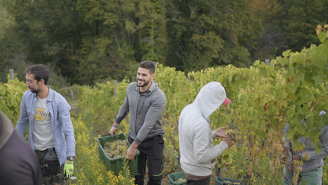 Tenuta La Novella