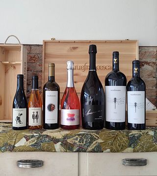 Vinprovning och naturskön vingårdspromenad på Annafrancesca Winery