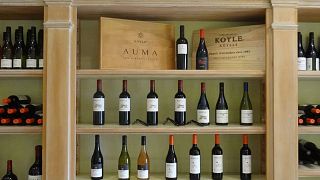 Degustazione e tour alla scoperta di Viña Koyle