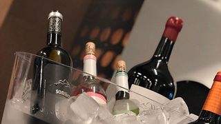 Vinprovning på Viñedos De Sonsierra