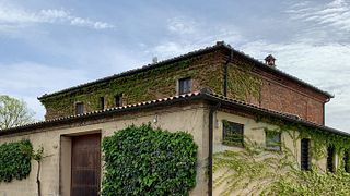  Tour dei vini e dei vigneti biologici toscani + degustazione di 5 vini abbinati a un pranzo leggero presso Il Quercione di Manvi