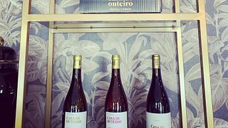 Galicia's Organic Wine Journey at Casa de Outeiro