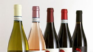Upplev Terre del Crearios vinkultur