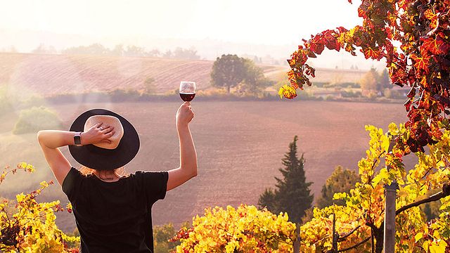 Visite de la cave et dégustation de vins à Sexto Elemento