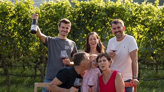 Taste Organic Wines from Trentino-Alto Adige